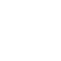 CRITICAL MINERALS